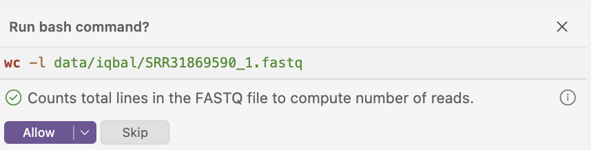 Screenshot of the GitHub Copilot prompt asking for permission to run a command