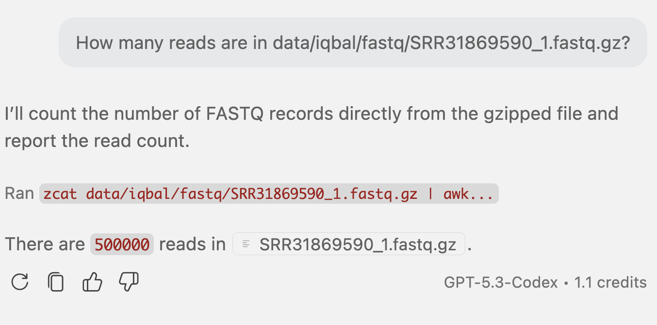 Screenshot of the GitHub Copilot prompt showing the answer to the question about how many reads are in the specified fastq file