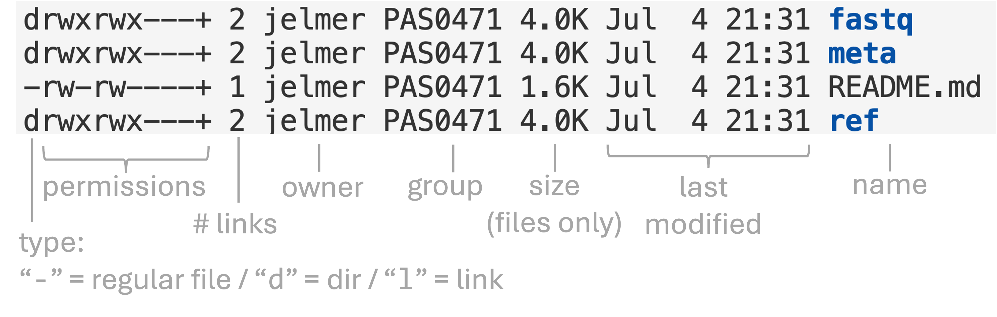 An annotated screenshot of long-format ls output.