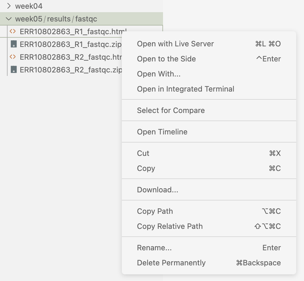 A screenshot showing the file download option in the VS Code file explorer.