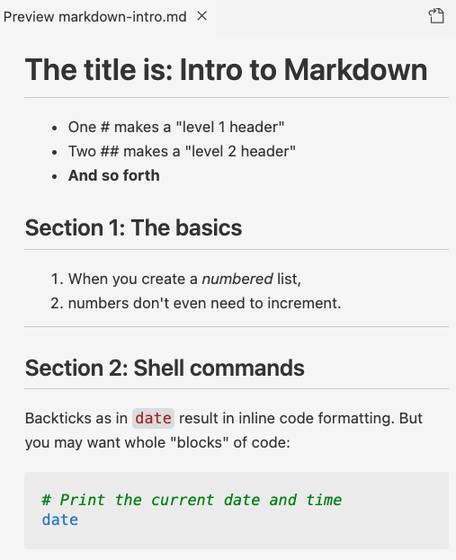 The VS Code preview of the Markdown document above.