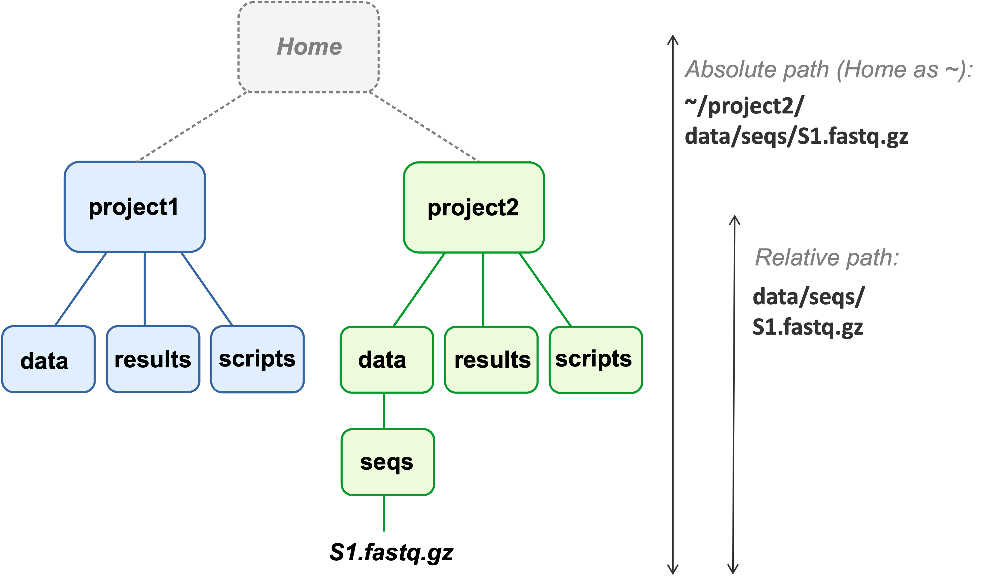 A diagram of two project dir hierarchies.