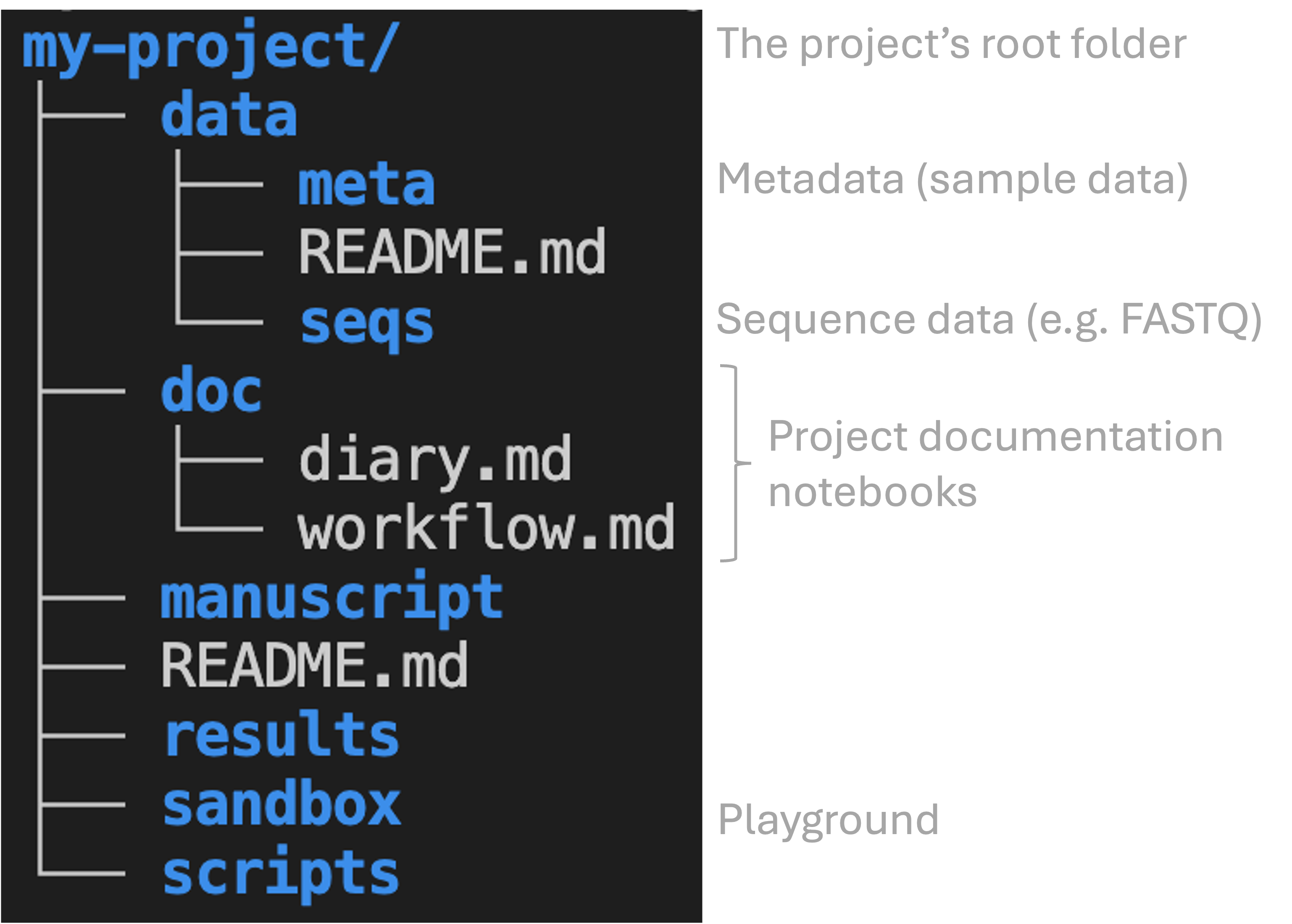 A screenshot showing an example research project folder hierarchy.