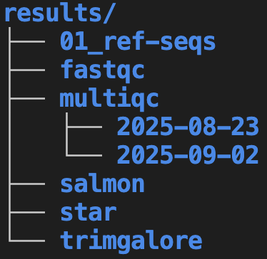 A screenshot showing an example Results folder in a research project folder, with separate folders for different MultiQC runs named after the run date.
