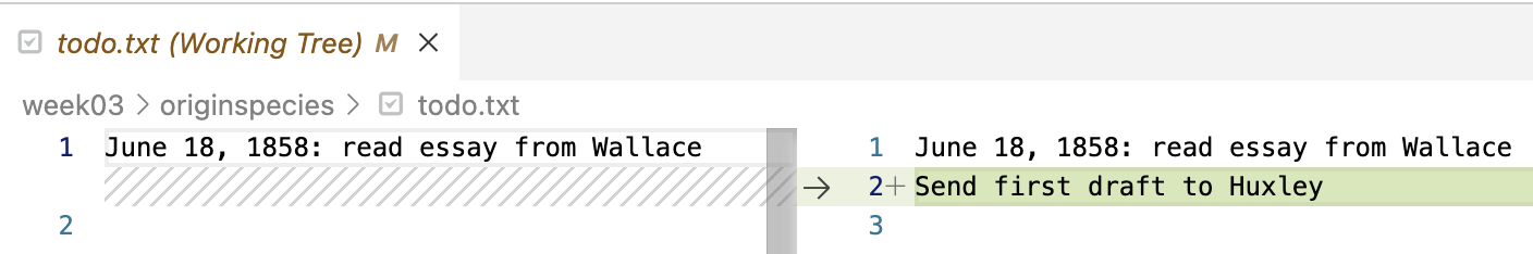 A screenshot of the VS Code diff view.