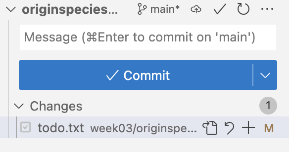 A screenshot of the VS Code source control sidebar.