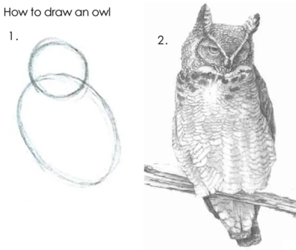 A drawing of an owl.