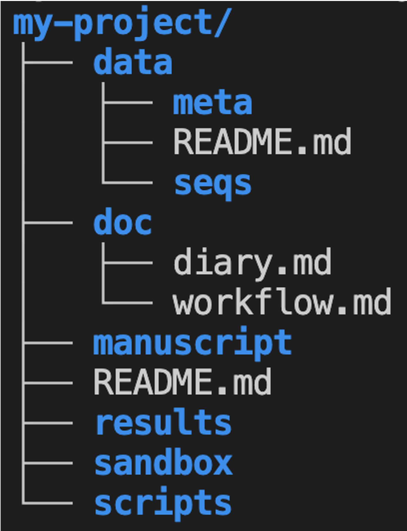 A screenshot showing an example research project folder hierarchy.